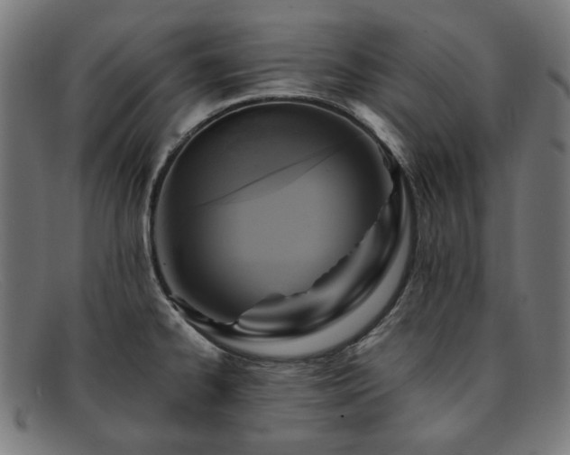 X0000091901334200709121451