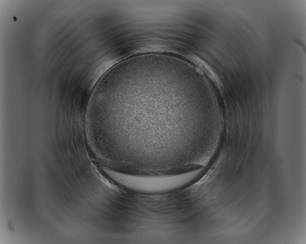 X0000091901337200709121451