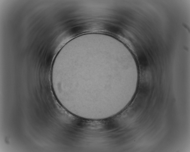 X0000091901338200709121452