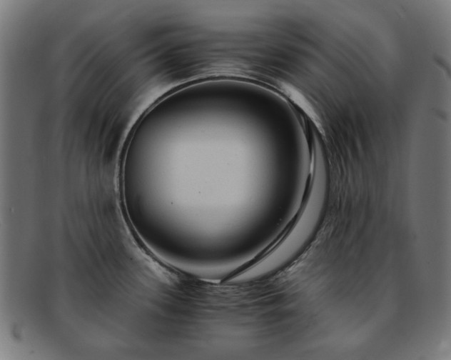 X0000091901339200709121452