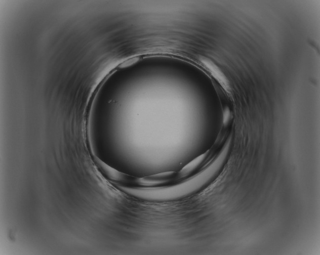 X0000091901340200709121452