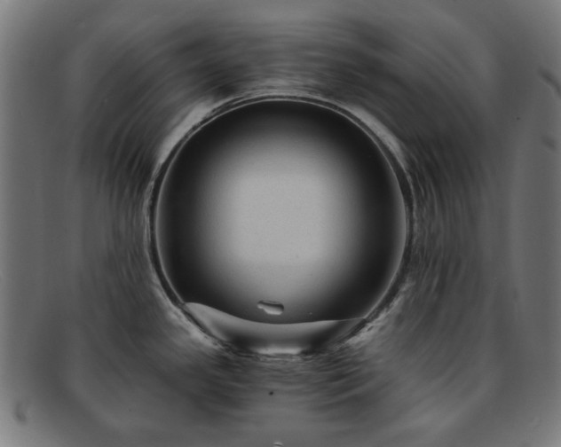 X0000091901341200709121452