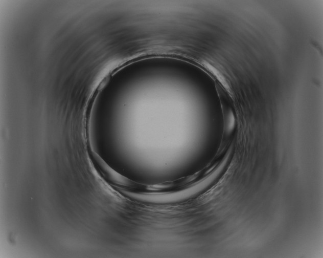 X0000091901342200709121452