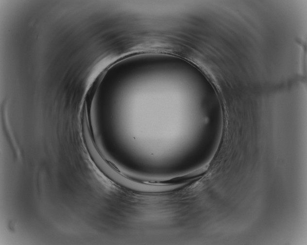 X0000091901344200709121452