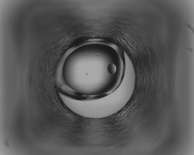 X0000091901345200709121451