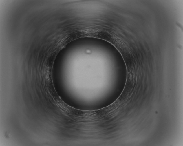 X0000091901346200709121451