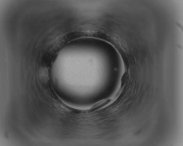 X0000091901347200709121451