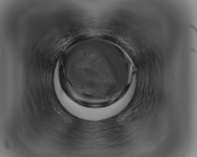 X0000091901348200709121451