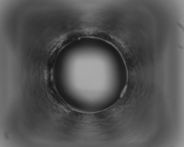 X0000091901349200709121451