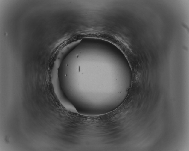 X0000091901350200709121451