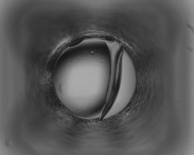 X0000091901351200709121451