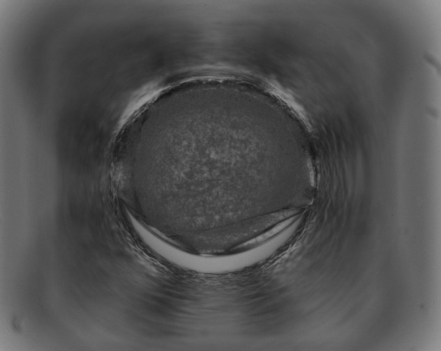 X0000091901352200709121451