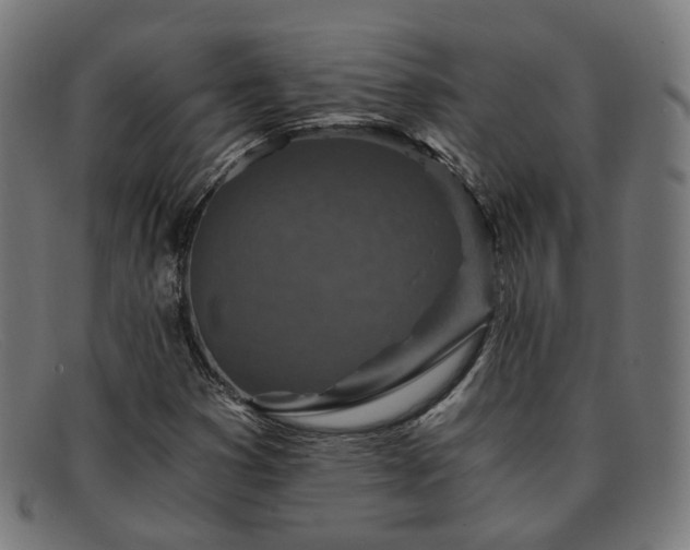 X0000091901353200709121451