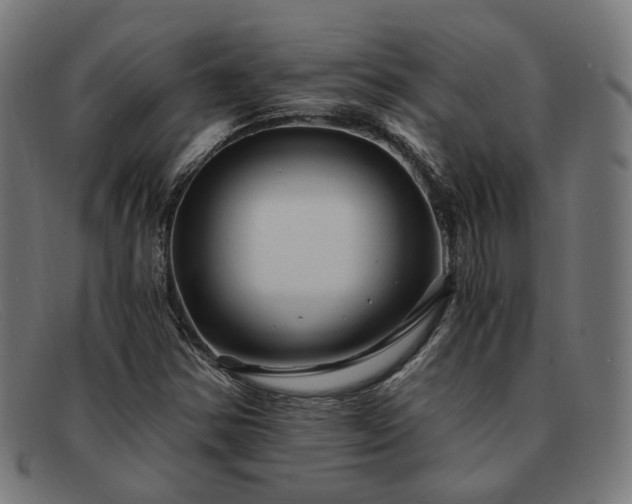 X0000091901354200709121451