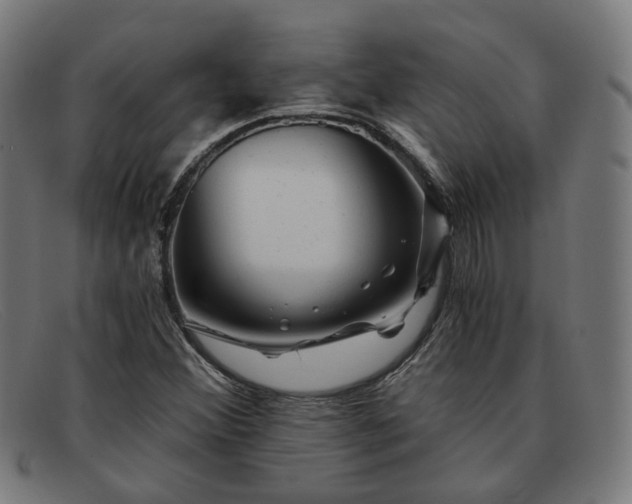 X0000091901356200709121451