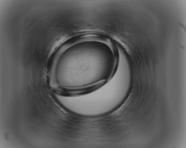 X0000091901357200709121451