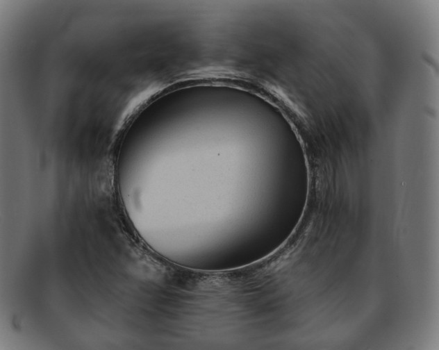 X0000091901358200709121451