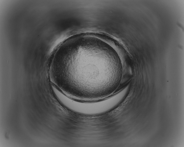 X0000091901359200709121451