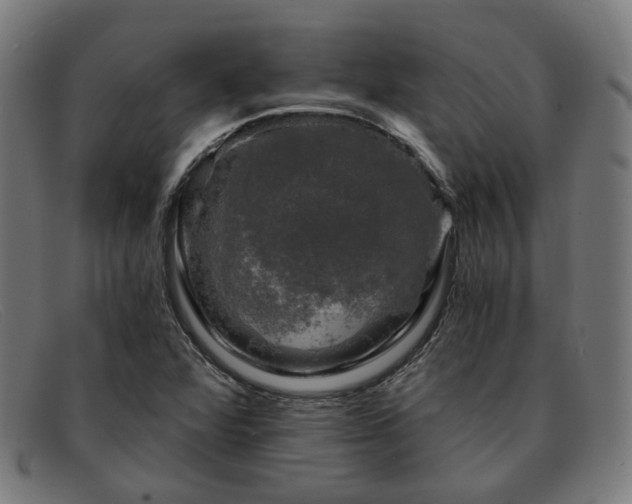 X0000091901360200709121451