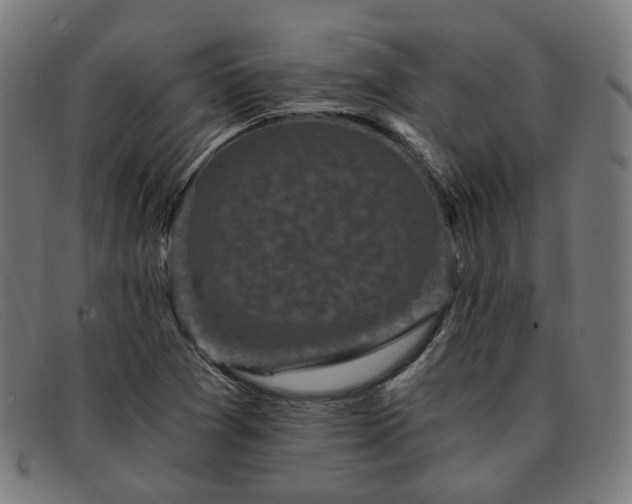 X0000091901361200709121451