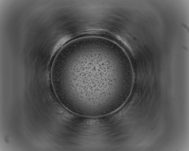 X0000091901362200709121451