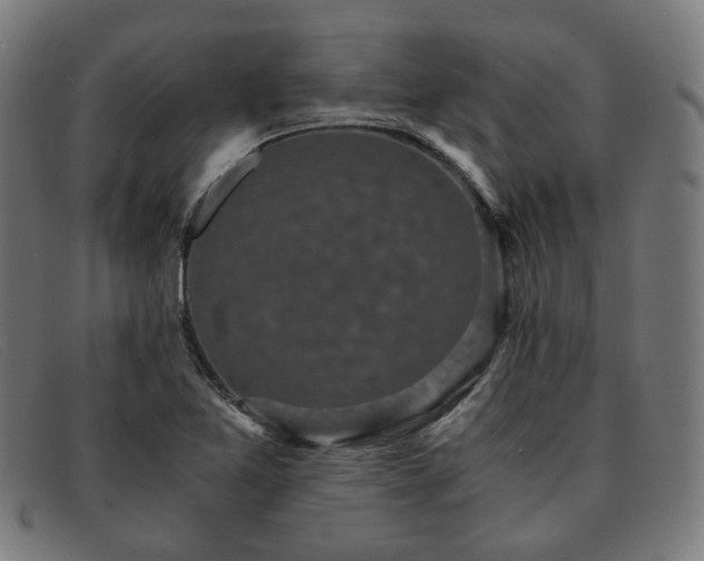 X0000091901365200709121451