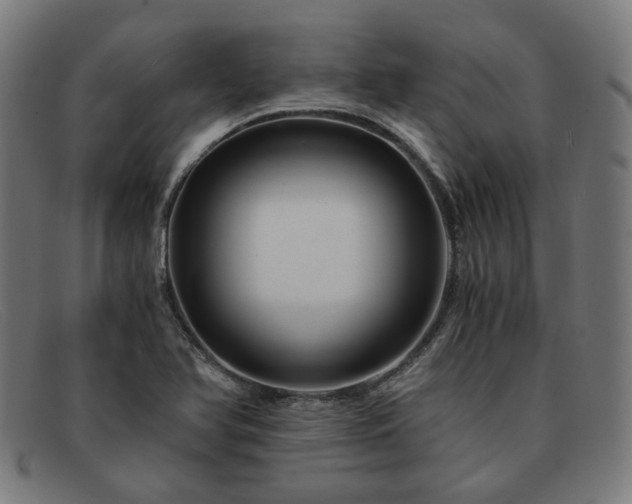 X0000091901366200709121451