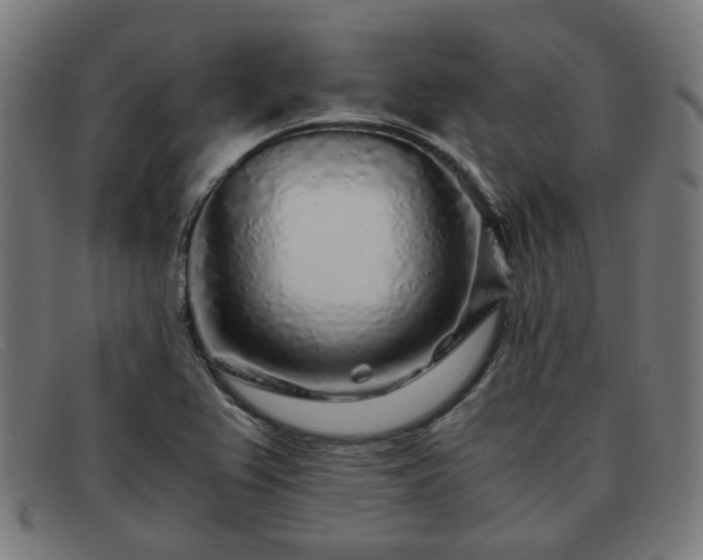 X0000091901367200709121451