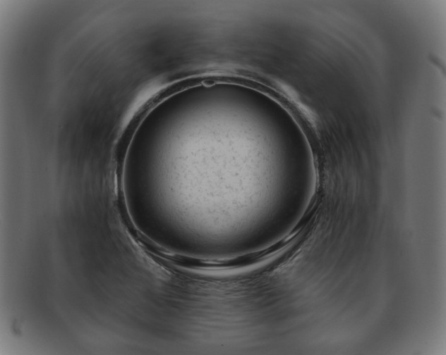 X0000091901368200709121451