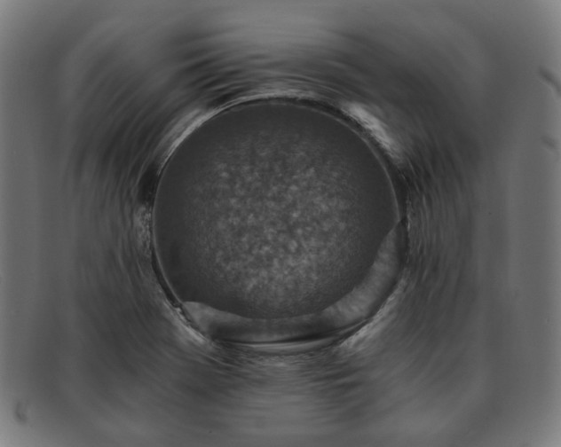 X0000091901369200709121451