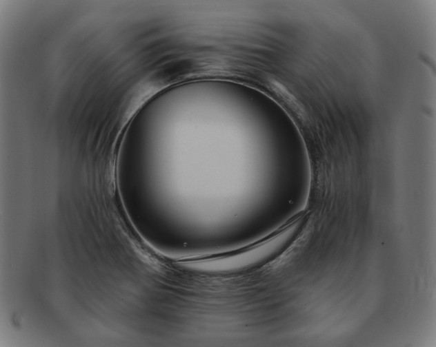 X0000091901370200709121451