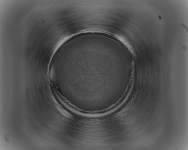 X0000091901372200709121451