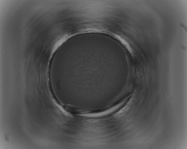 X0000091901373200709121451