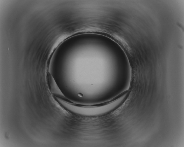 X0000091901374200709121451