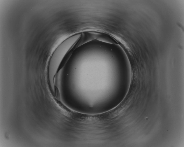 X0000091901375200709121451