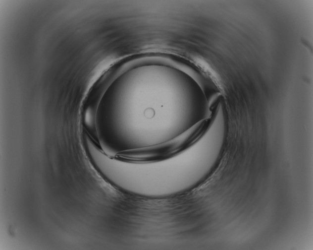 X0000091901376200709121451