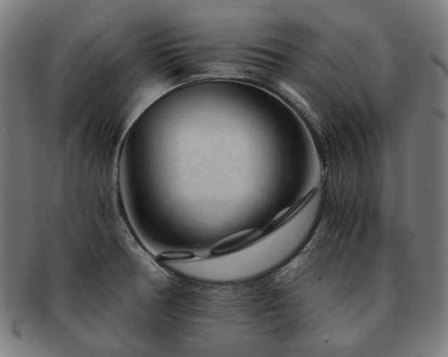 X0000091901378200709121451