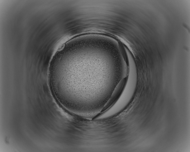 X0000091901379200709121451