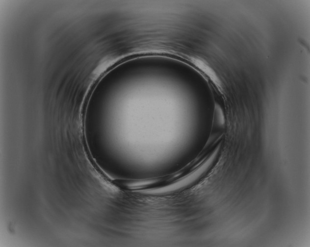 X0000091901380200709121451