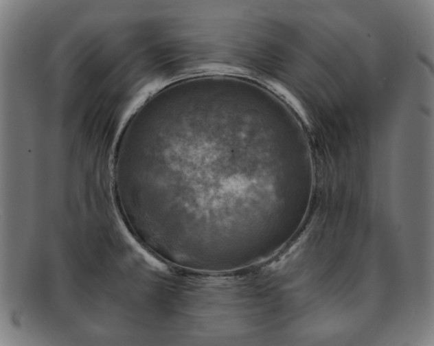 X0000091901381200709121451