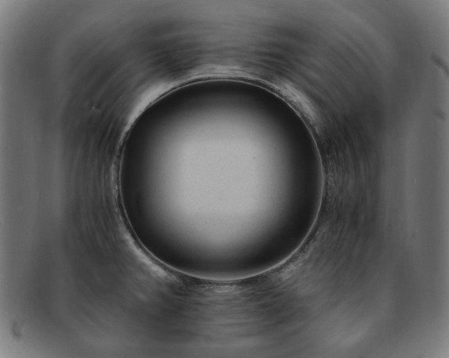 X0000091901382200709121451