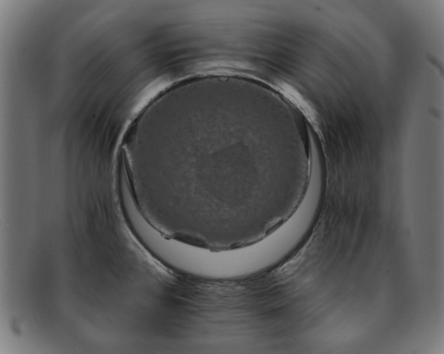 X0000091901384200709121451