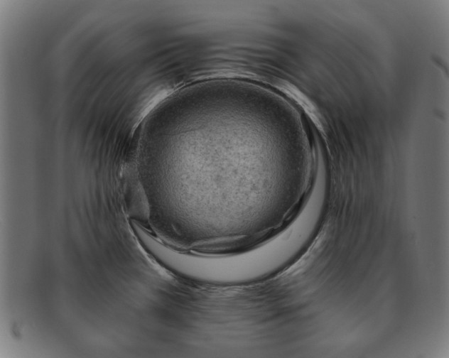 X0000091901385200709121451