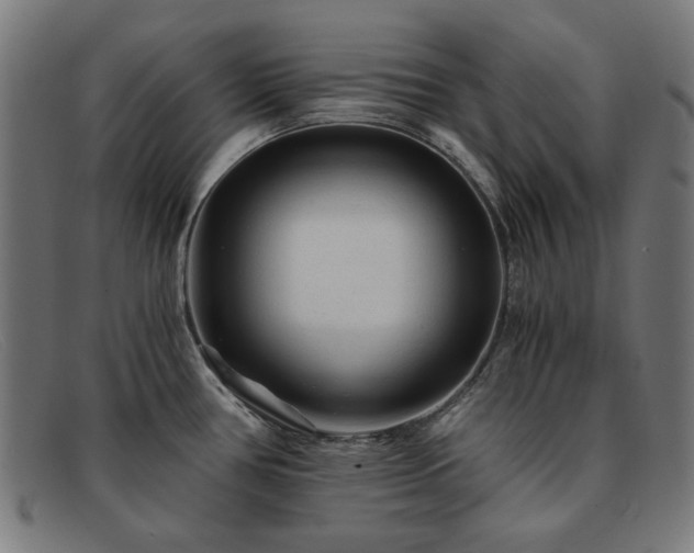 X0000091901386200709121451