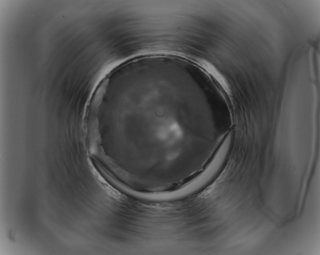 X0000091901388200709121451