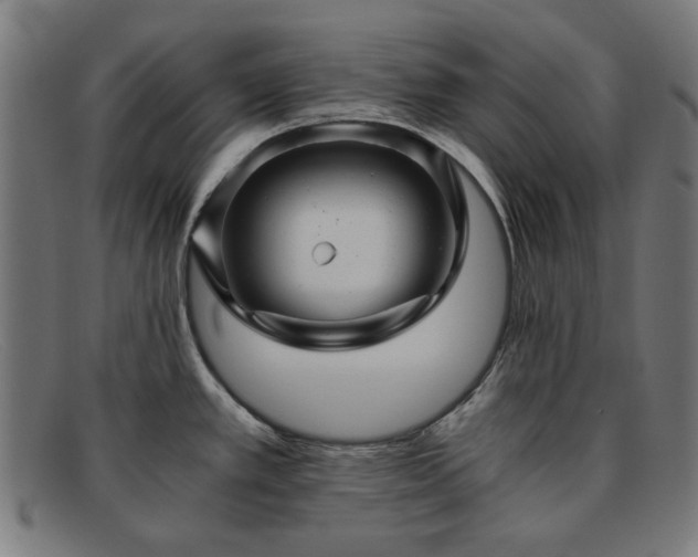 X0000091901389200709121450