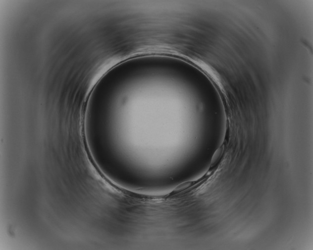 X0000091901390200709121450