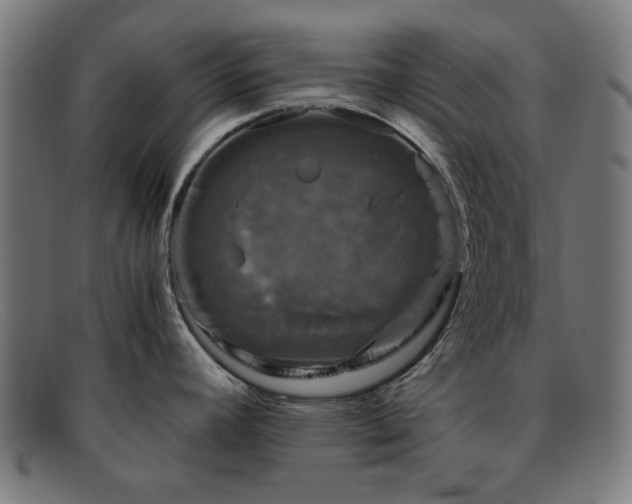 X0000091901392200709121450