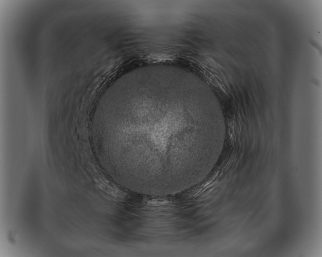 X0000091901393200709121450