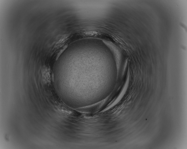 X0000091901394200709121450